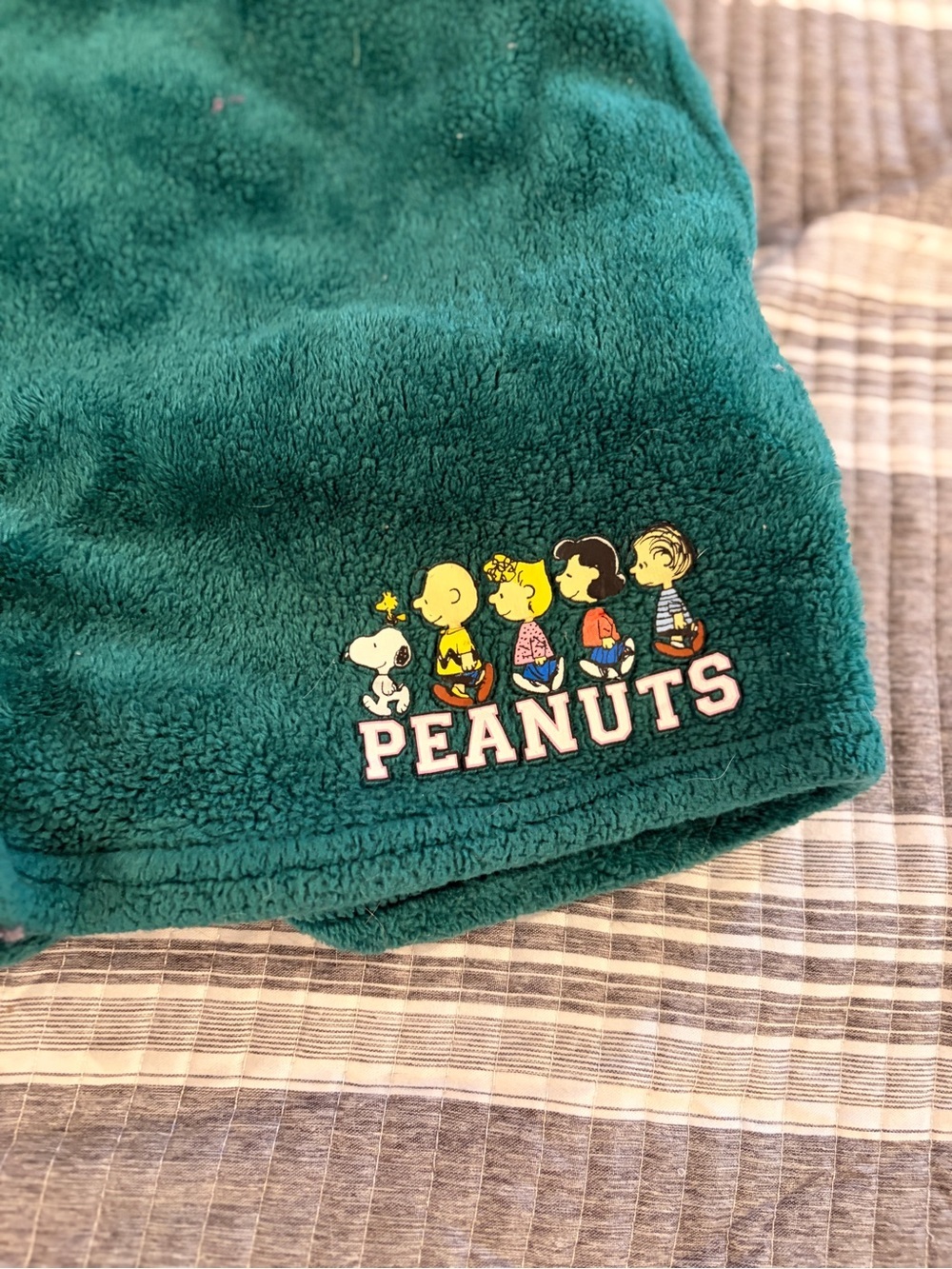 Peanuts Plush Green Women’s Large Shorts - Picture 2 of 7